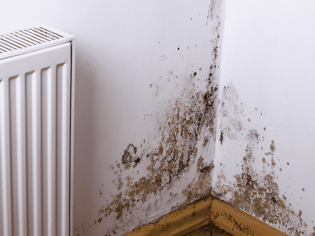 vice caché maison infiltration d'eau en Ardennes